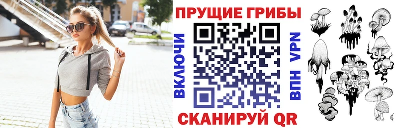 Псилоцибиновые грибы Psilocybine cubensis  что такое   Южа 