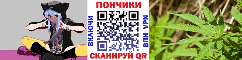 цена наркотик  Южа  Каннабис конопля 